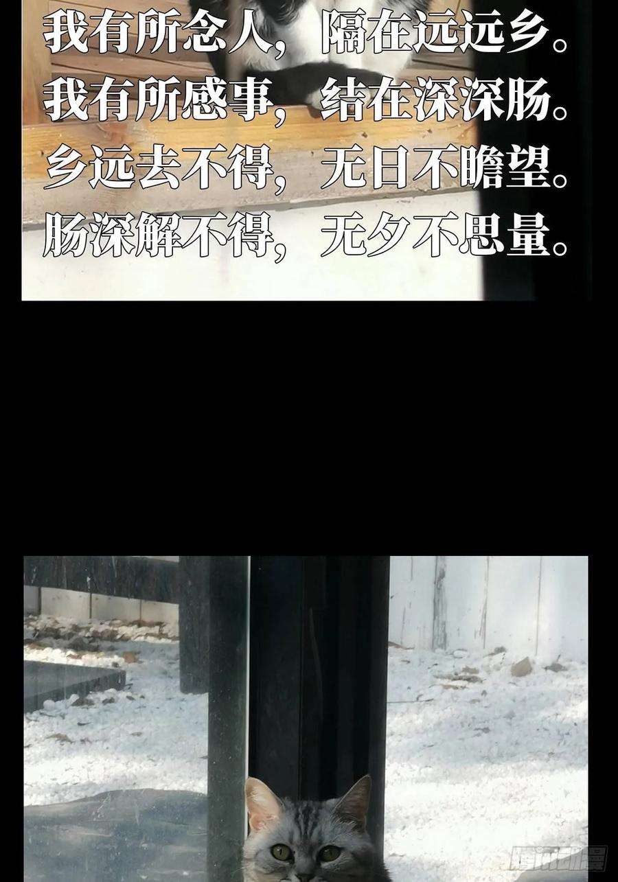大象无形六十九话至死不渝中