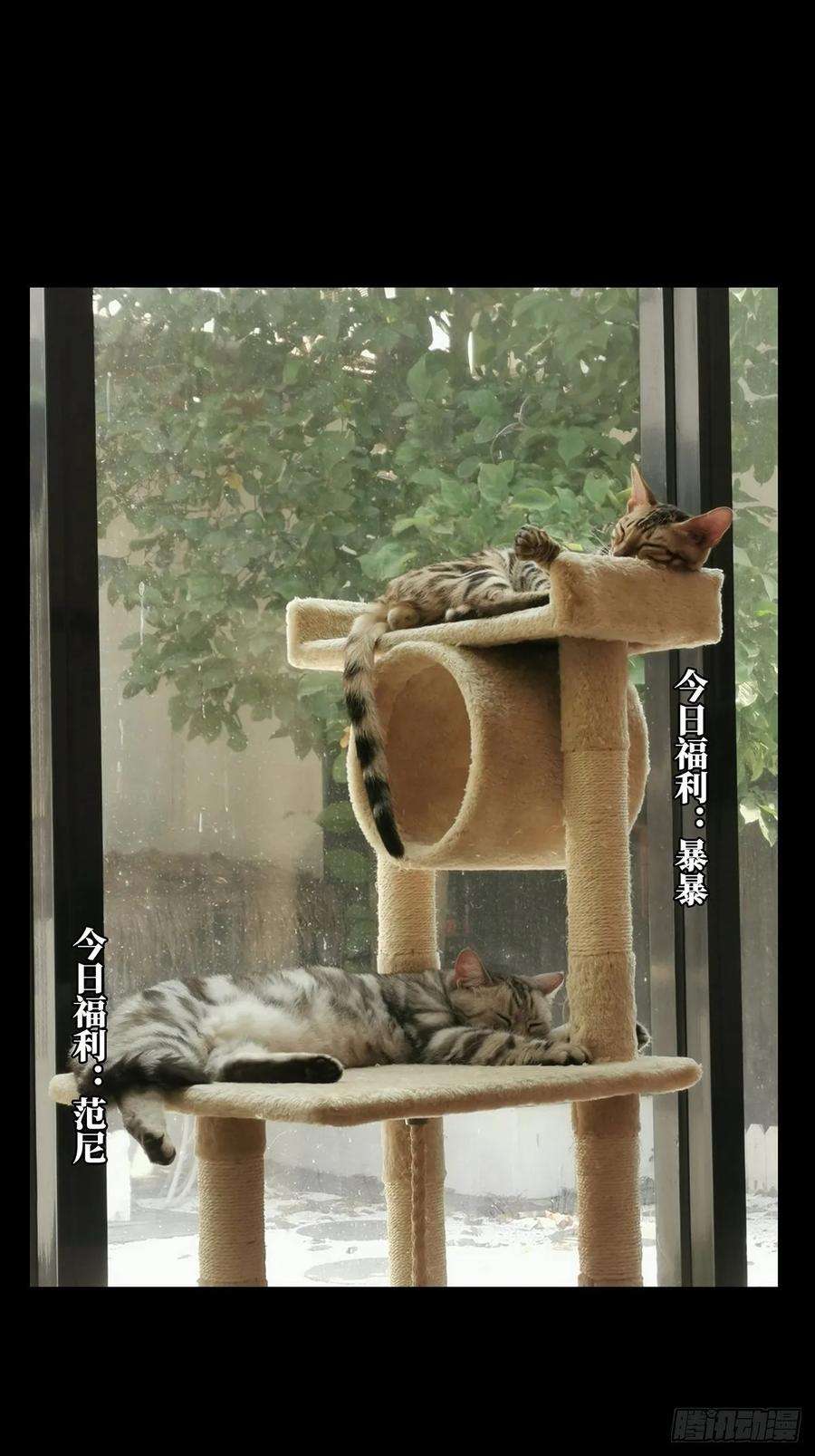 大象无形七十九话同门对决下