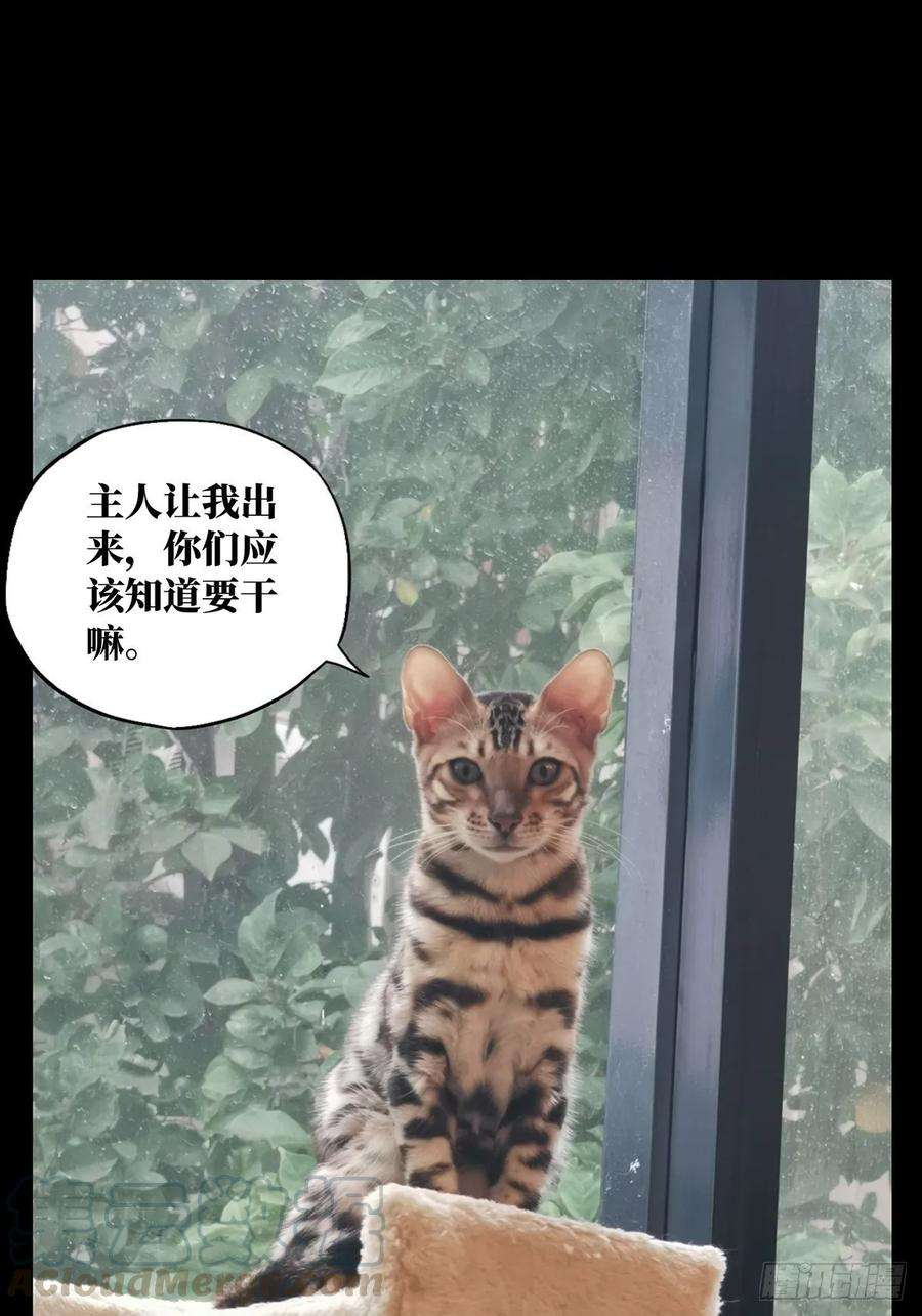 大象无形八十话交易上