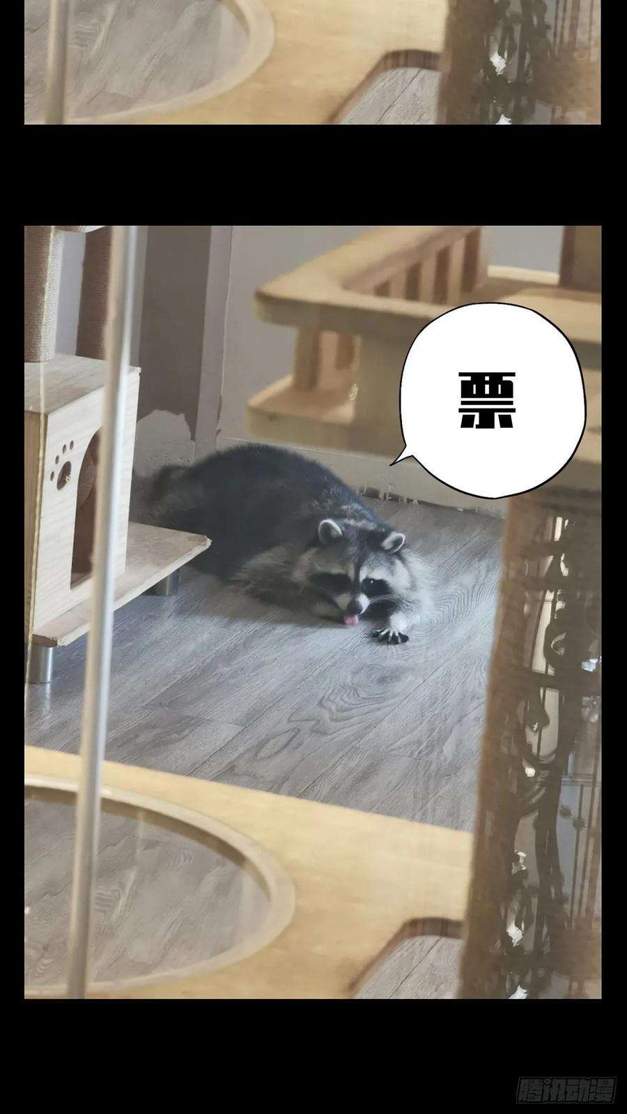 大象无形八十五话神秘组织下