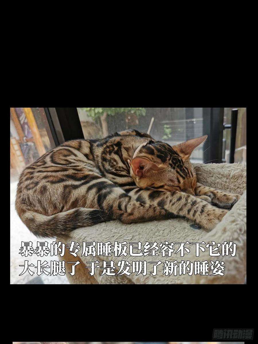 大象无形九十话君上中