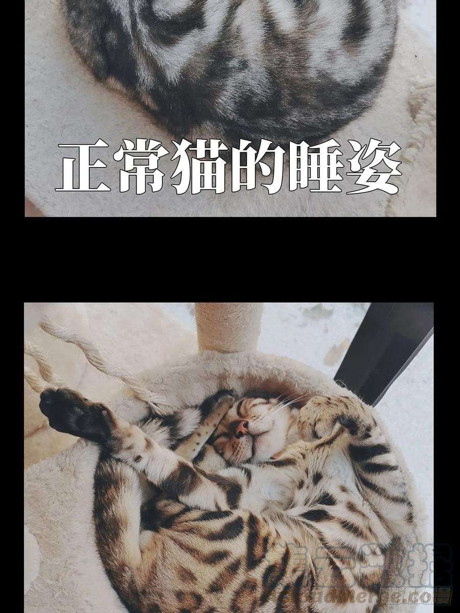 大象无形九十五话灵息上