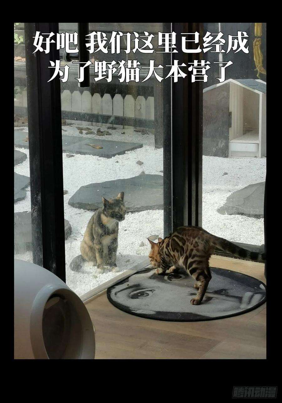 大象无形九十七话灵息下