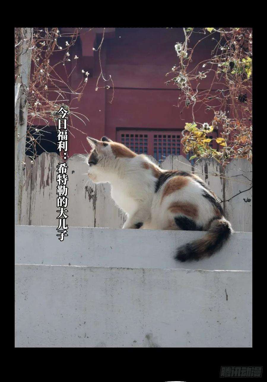 大象无形九十九话赐教中