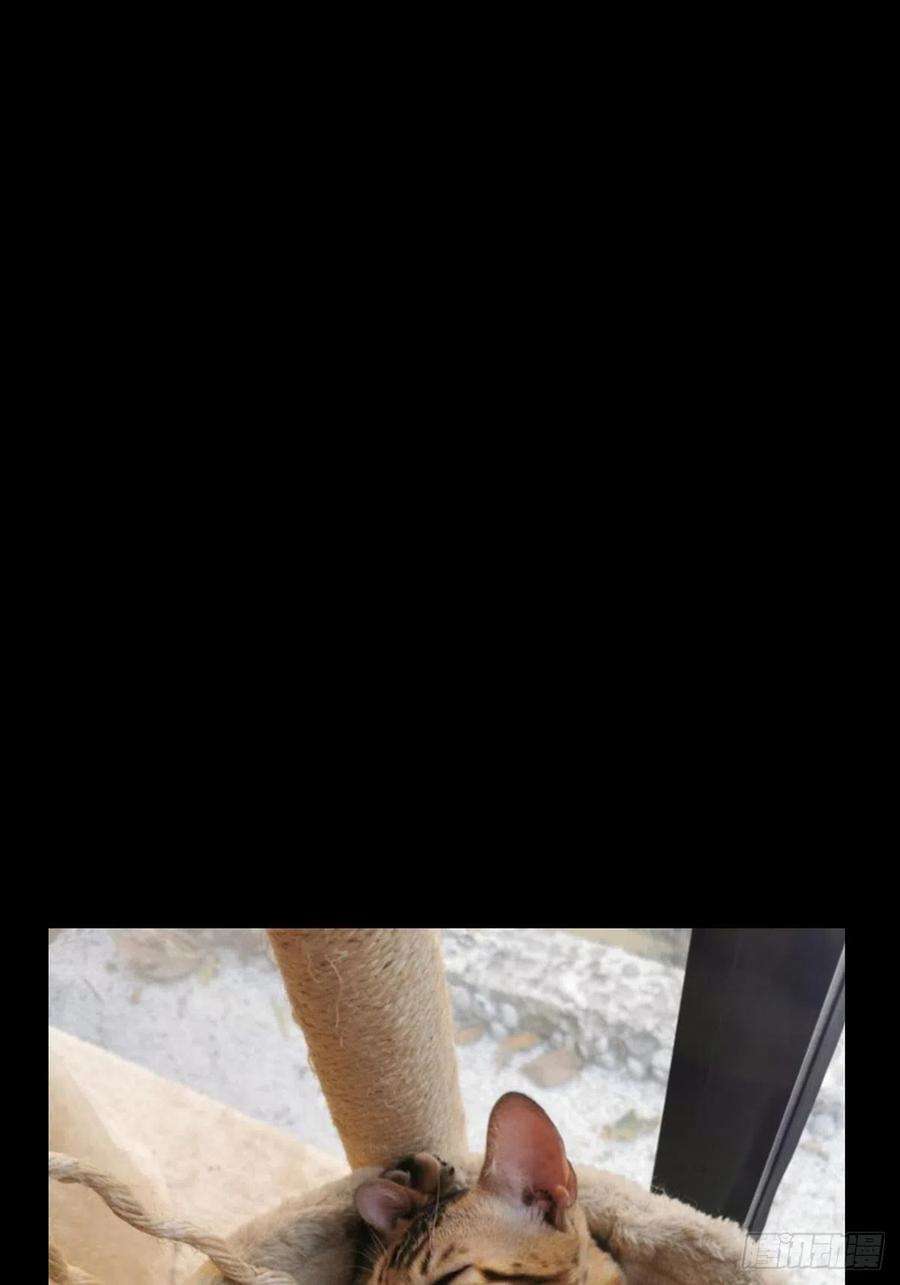 大象无形一百一十一话封锁中