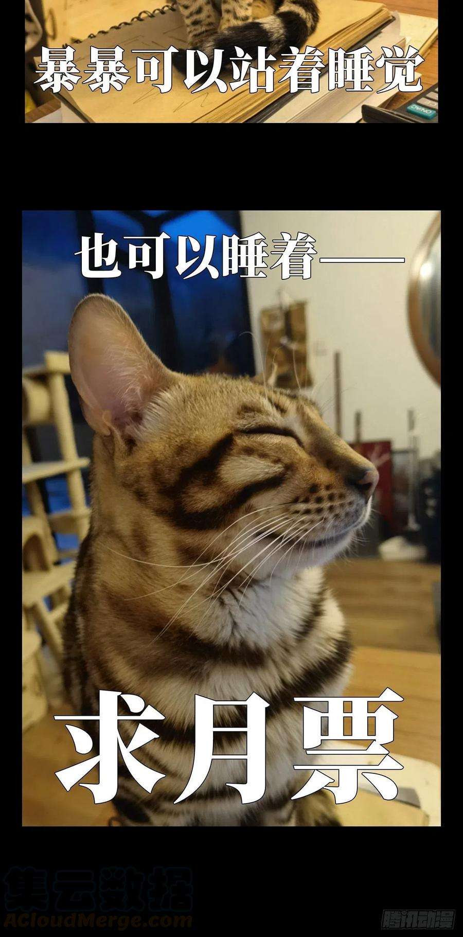 大象无形一百一十三话强者登场上