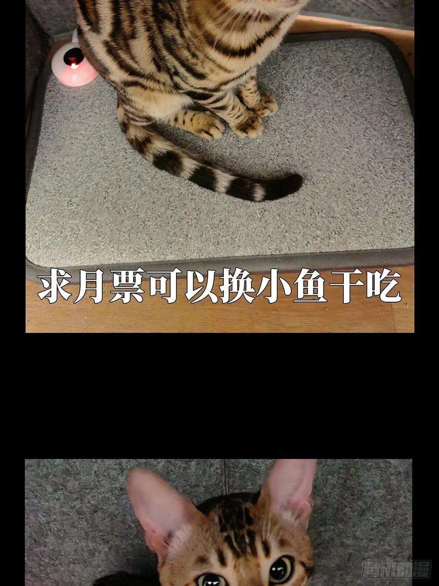 大象无形一百一十八话灵域下