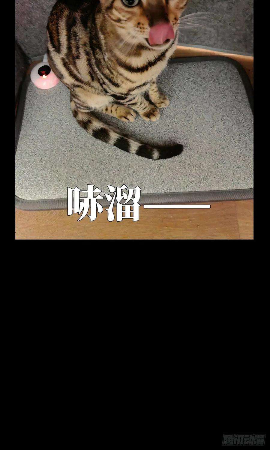 大象无形一百一十八话灵域下