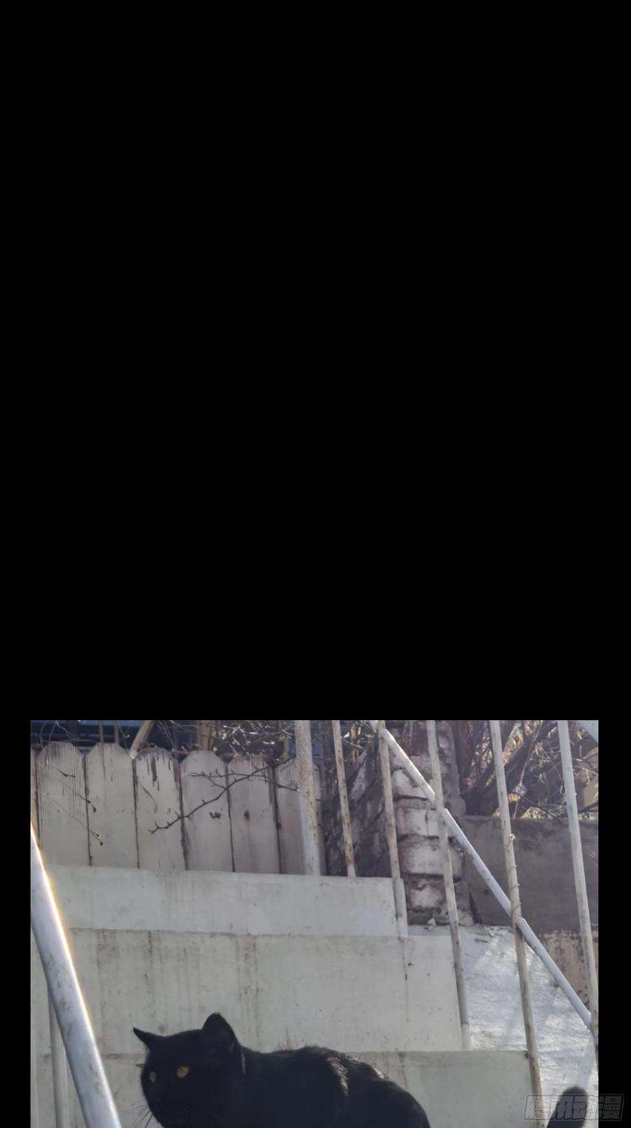 大象无形一百一十九话对手上