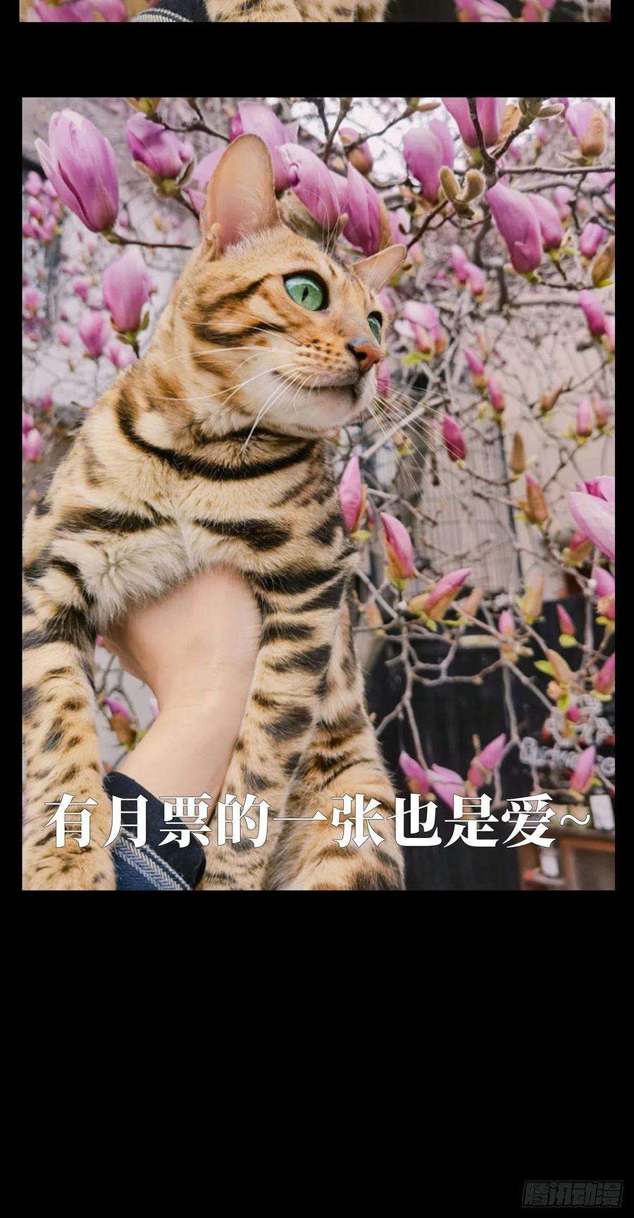 大象无形一百二十七话情感下