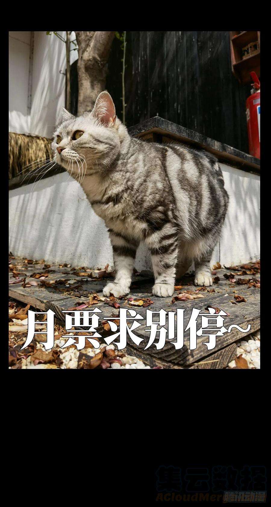 大象无形一百二十八话情愫上