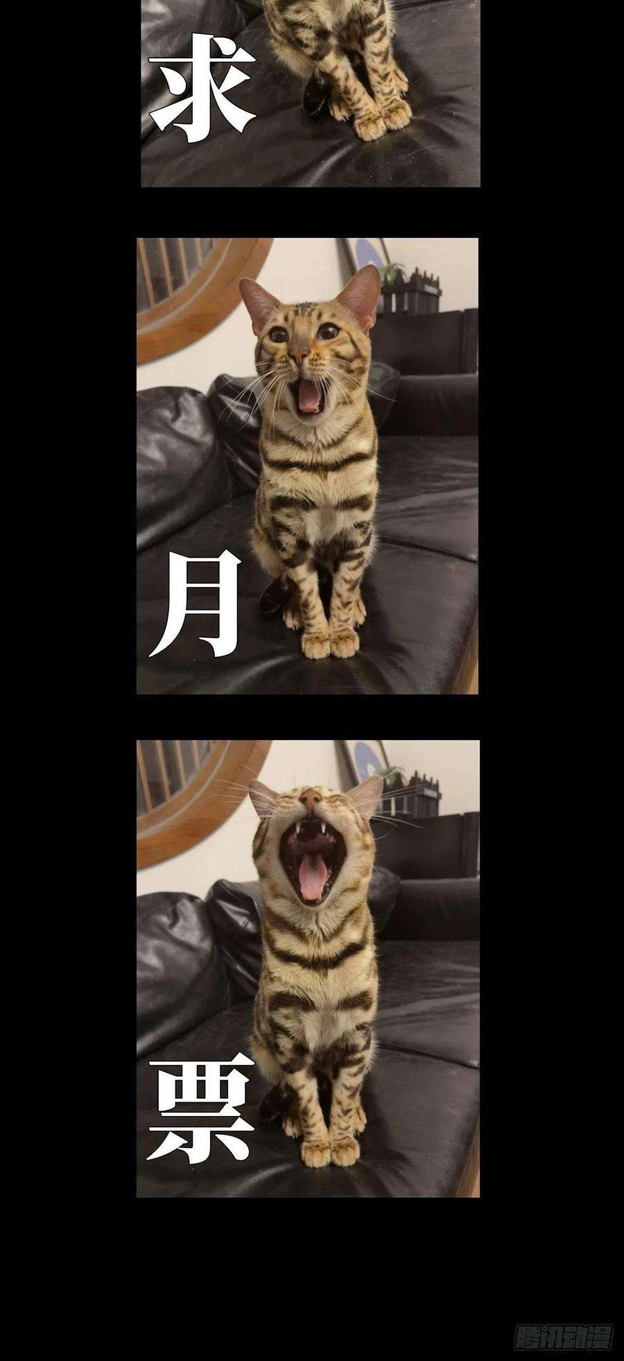 大象无形一百三十四话任务上