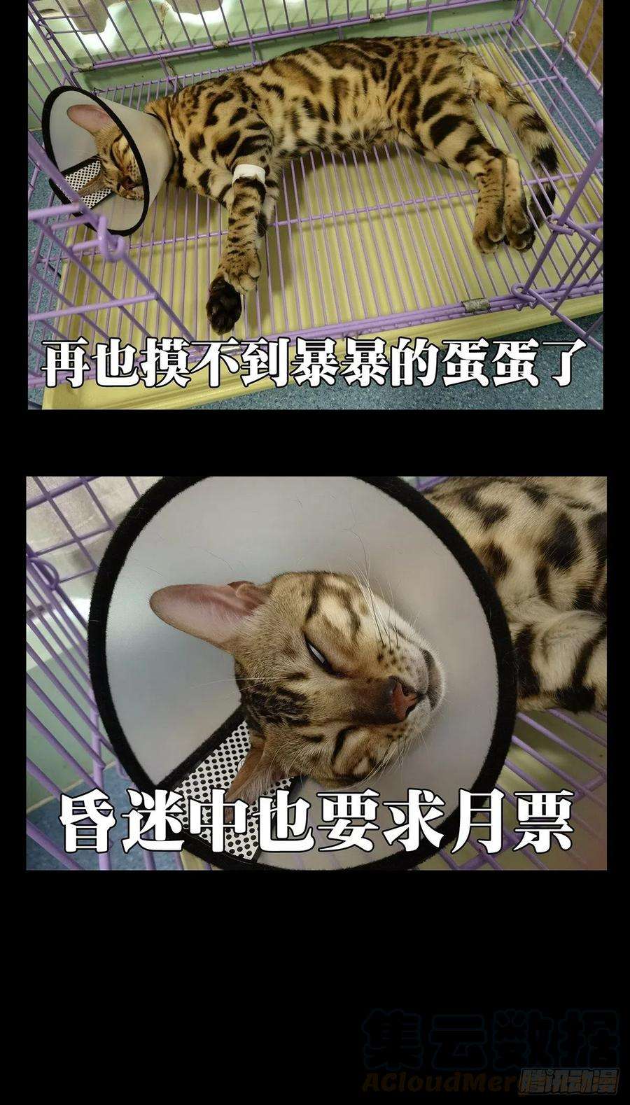 大象无形一百四十四话舍命中