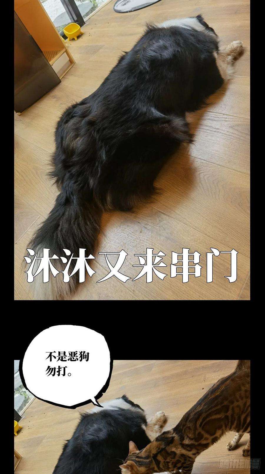 大象无形一百四十八话能力下