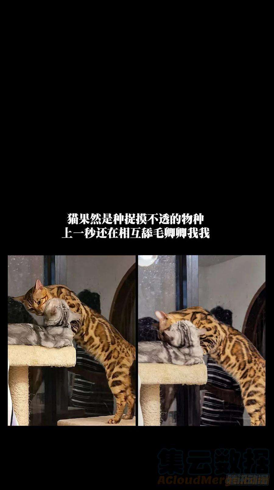 大象无形一百五十八话约定上