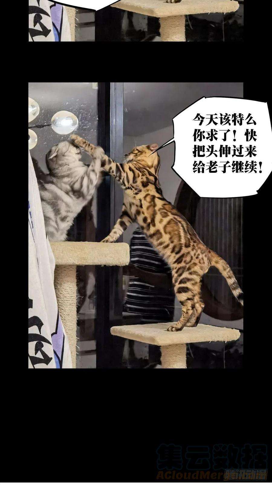 大象无形一百五十八话约定上