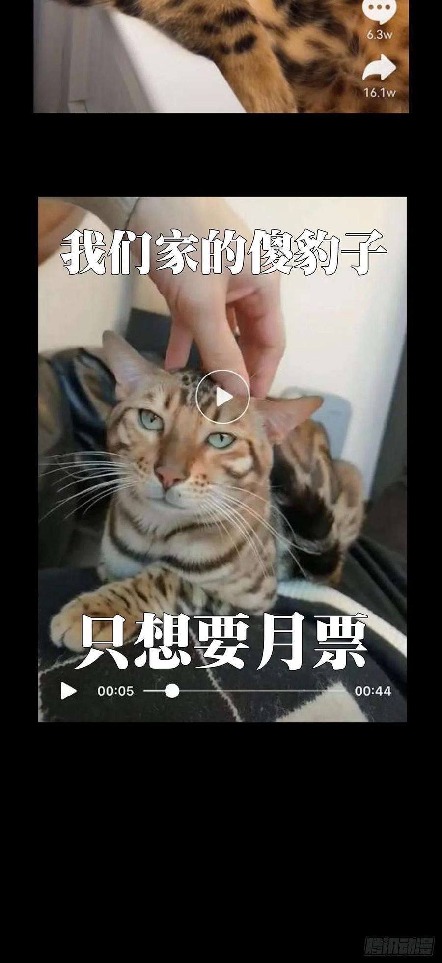 大象无形一百六十一话会议上