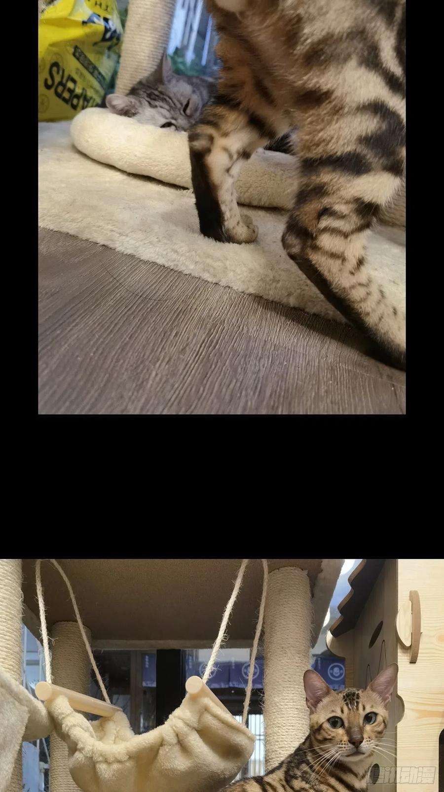 大象无形一百六十三话会议下