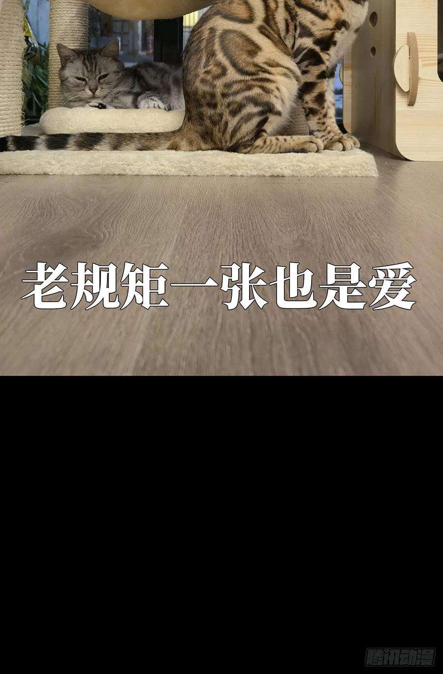 大象无形一百六十三话会议下