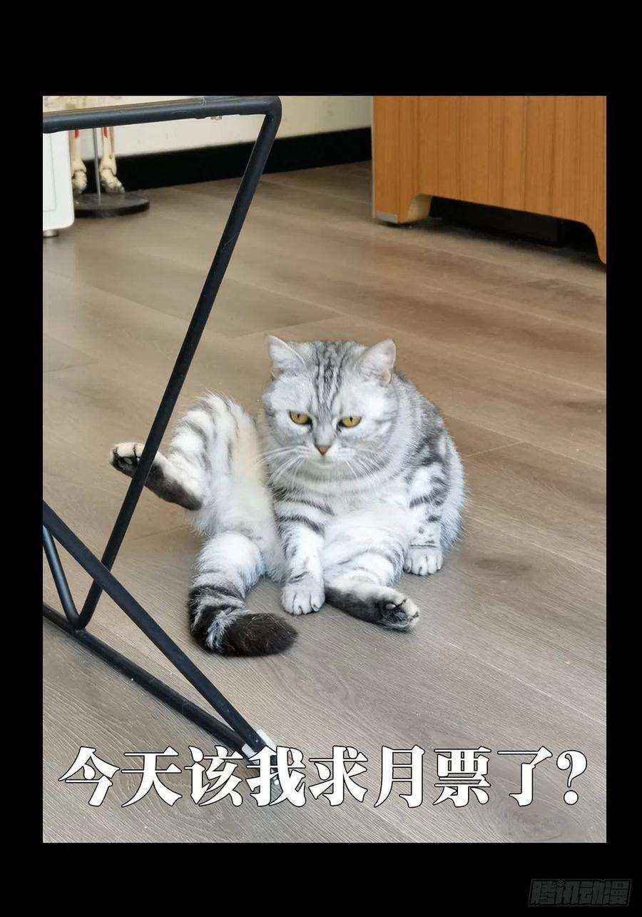 大象无形一百六十五话牙牙中