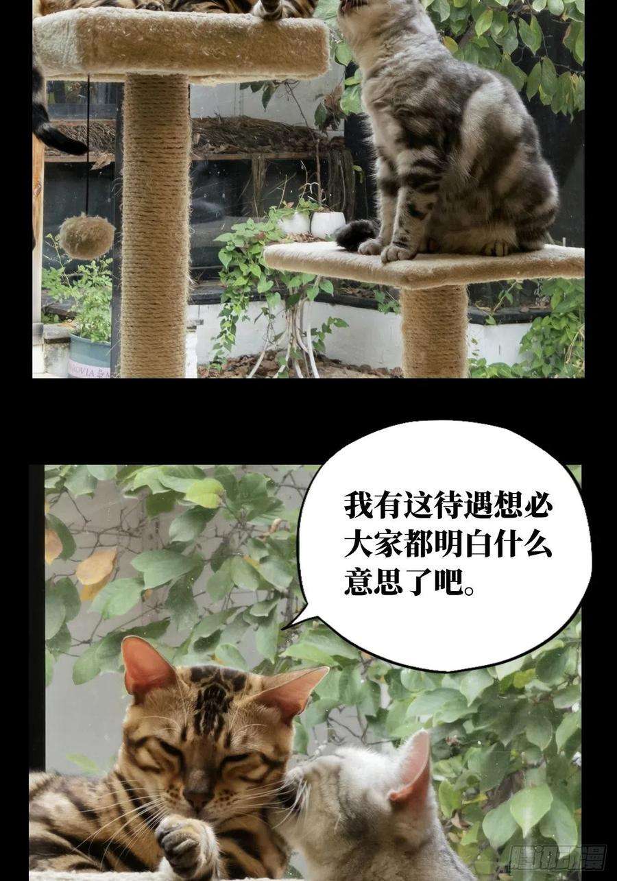 大象无形一百六十六话牙牙下