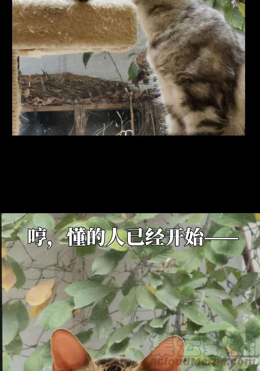 大象无形一百六十六话牙牙下
