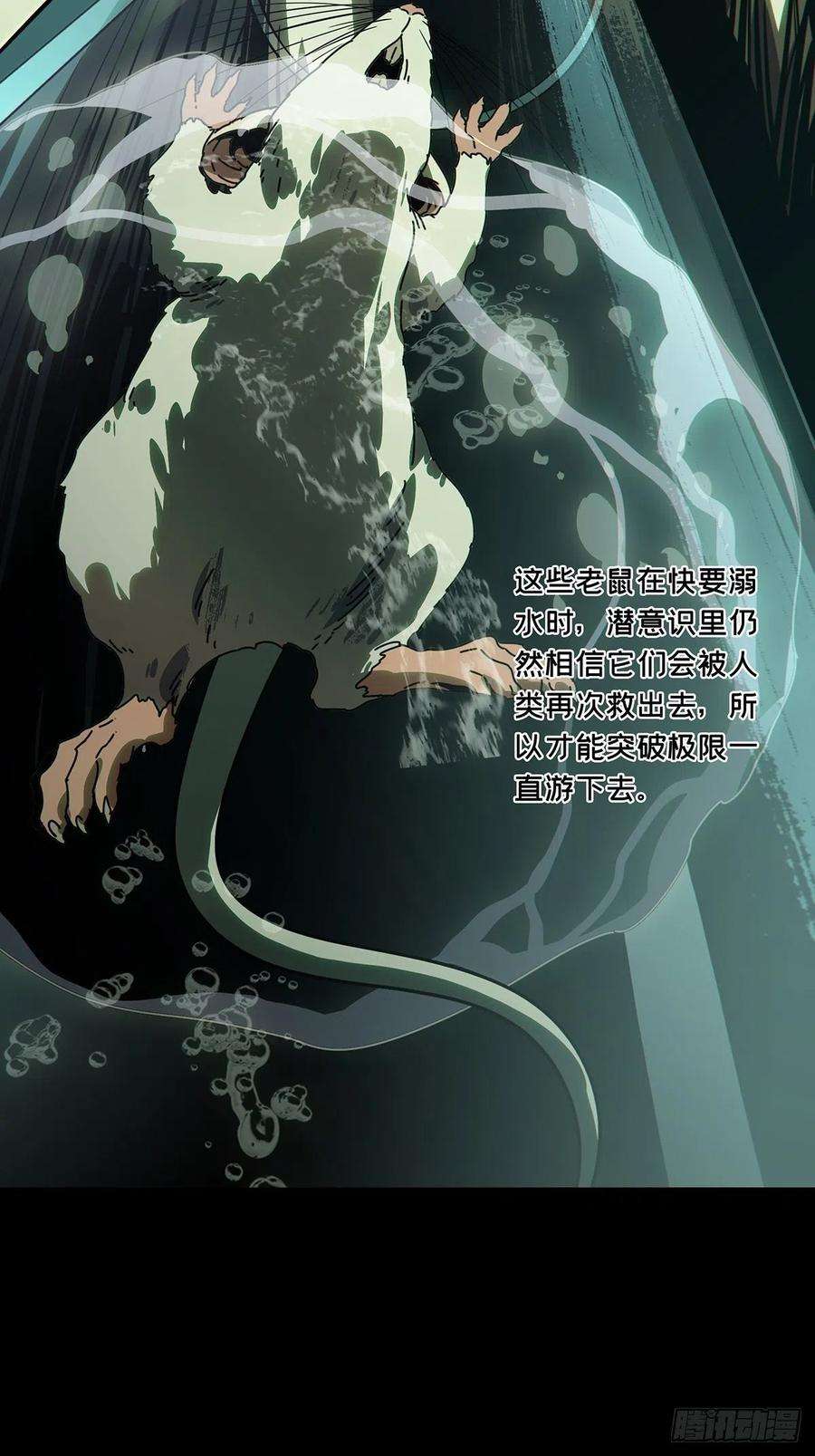 大象无形一百六十八话希望中