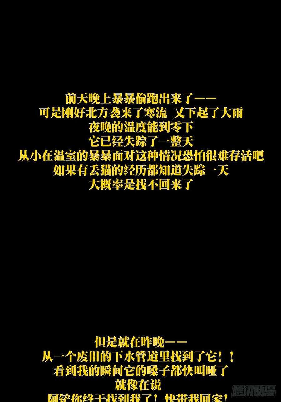 大象无形一百七十话地下竞技场上