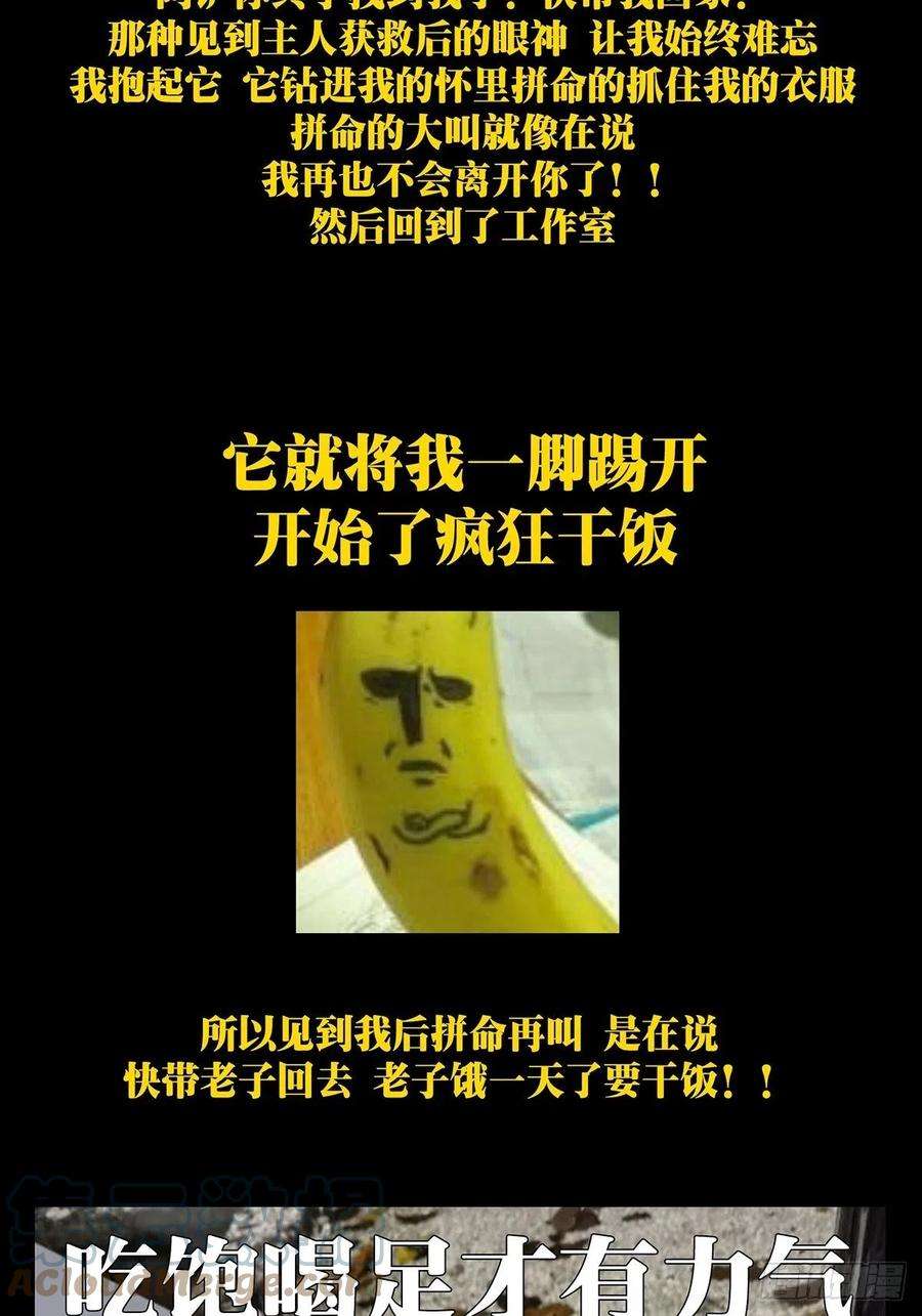 大象无形一百七十话地下竞技场上