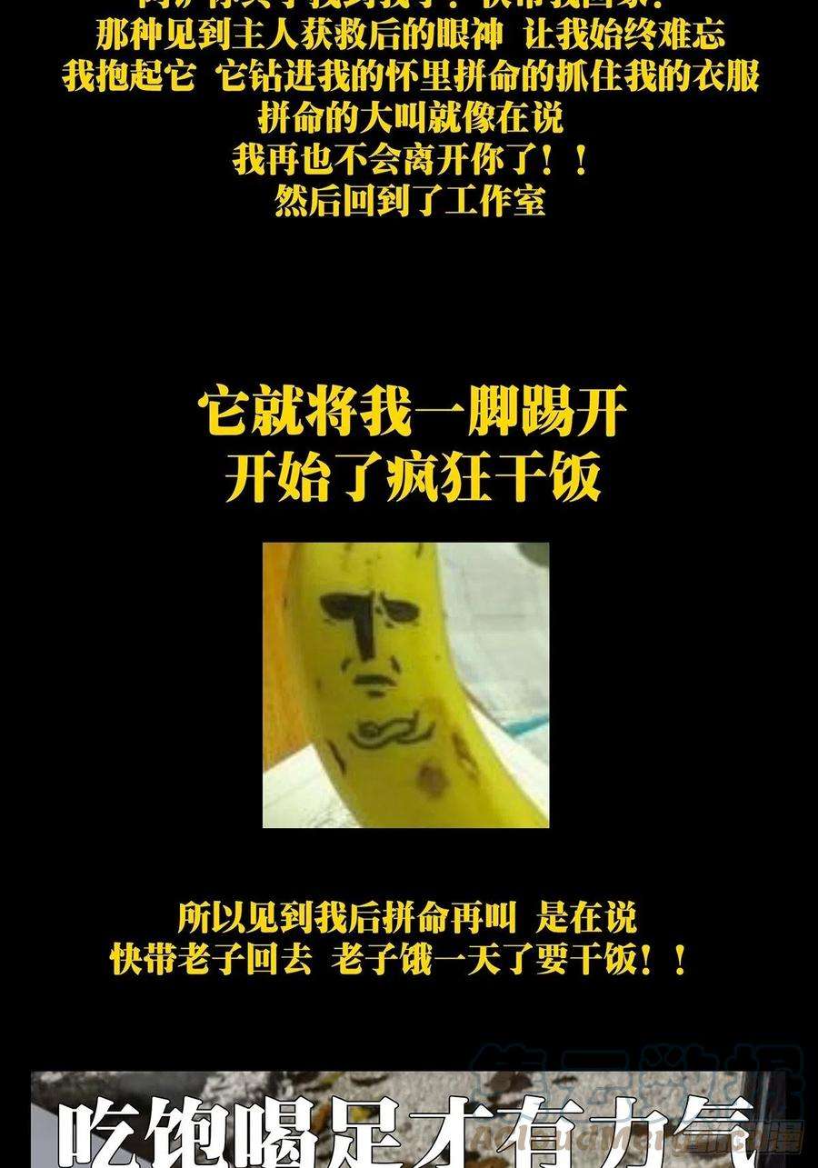 大象无形一百七十话月茫岛上