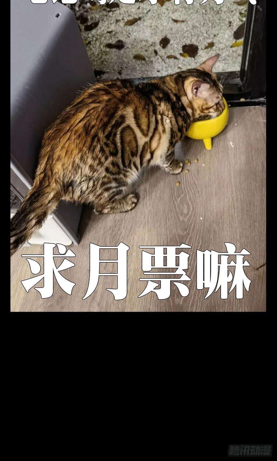 大象无形一百七十话月茫岛上