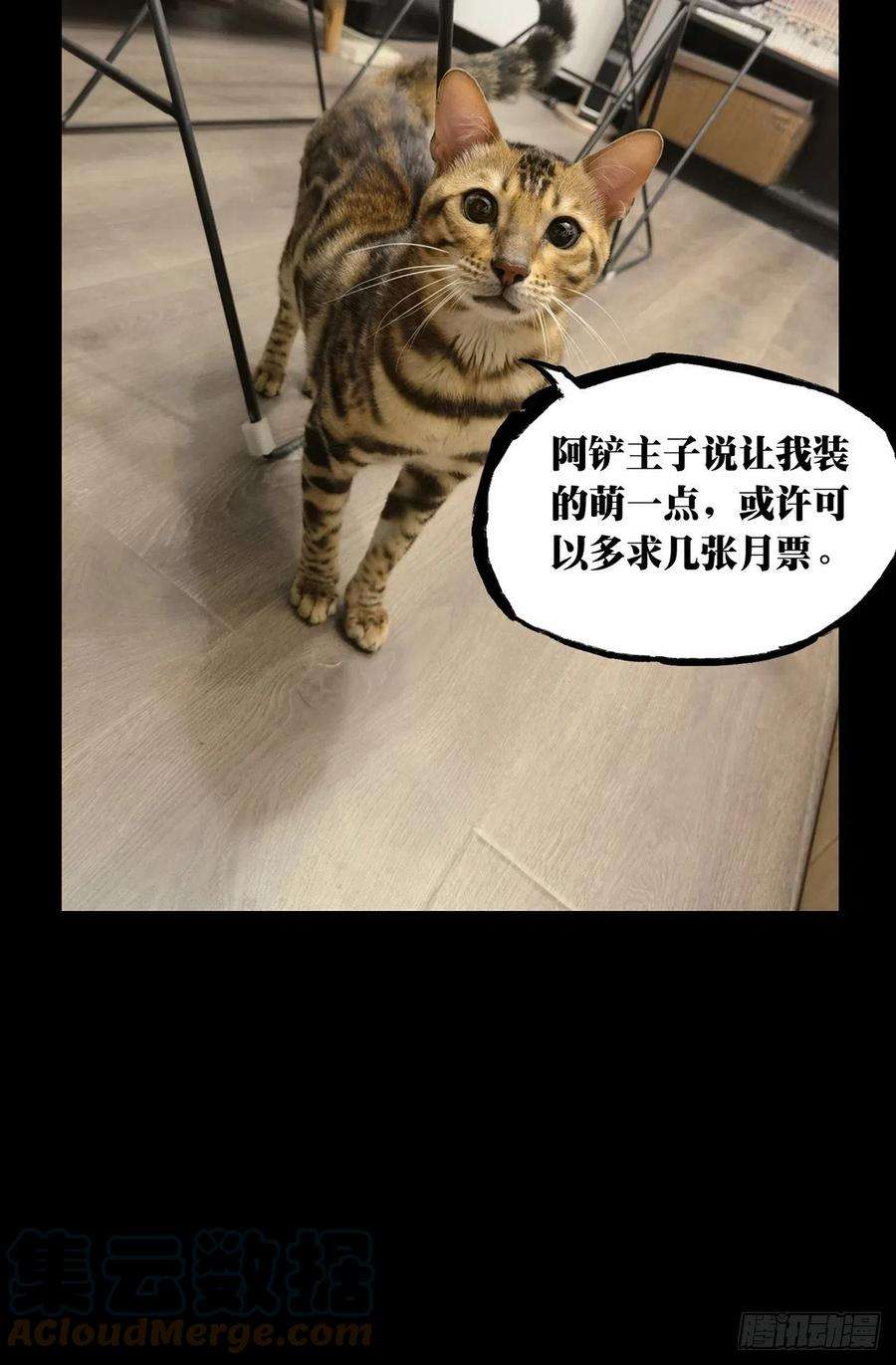 大象无形一百七十六话竞技开场上