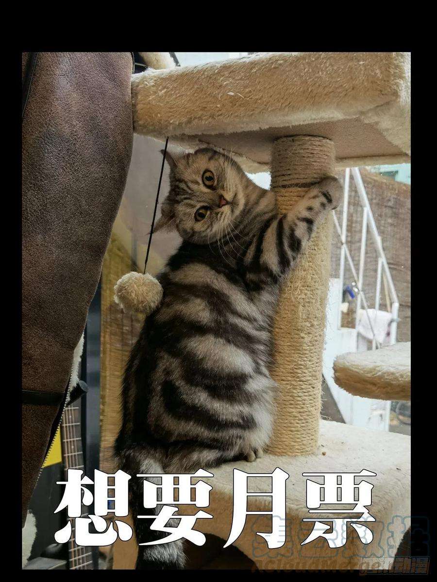 大象无形一百八十八话反击上
