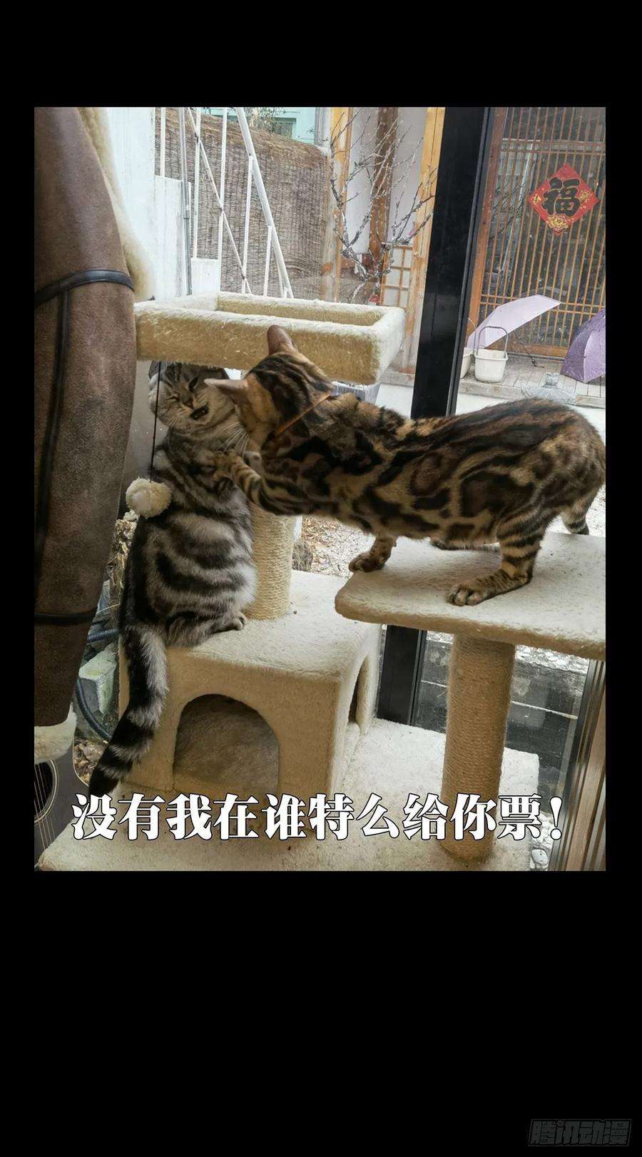 大象无形一百八十八话反击上
