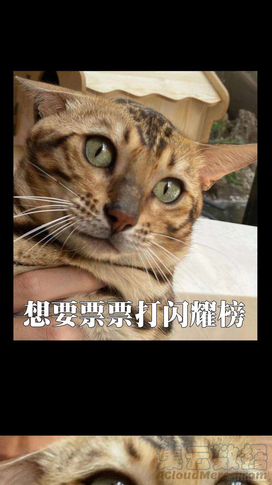 大象无形一百九十三话活路下