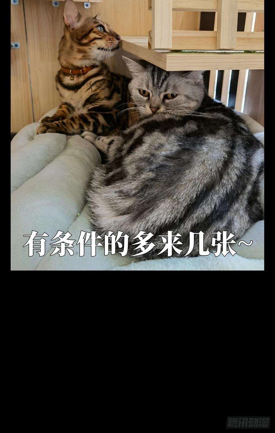 大象无形一百九十五话贵人中