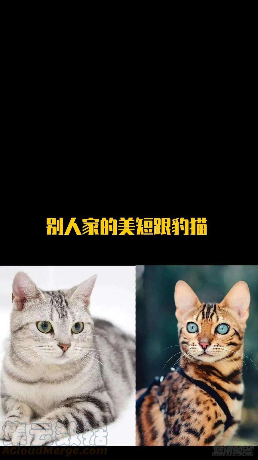 大象无形二百零八话飞蛾扑火下
