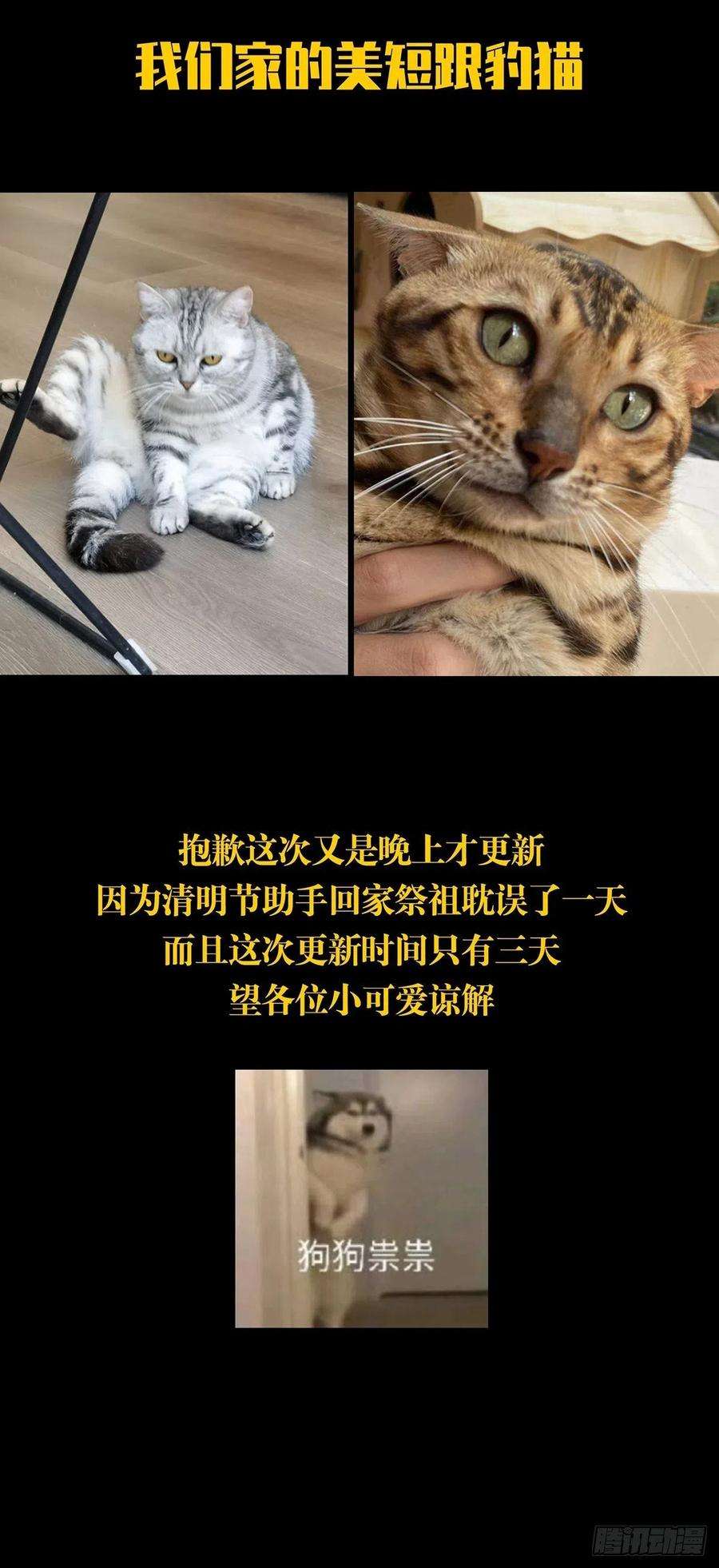 大象无形二百零八话飞蛾扑火下