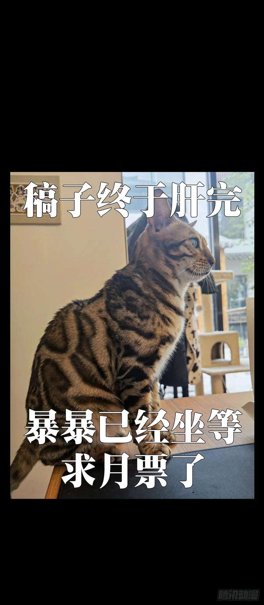 大象无形二百一十一话监视下