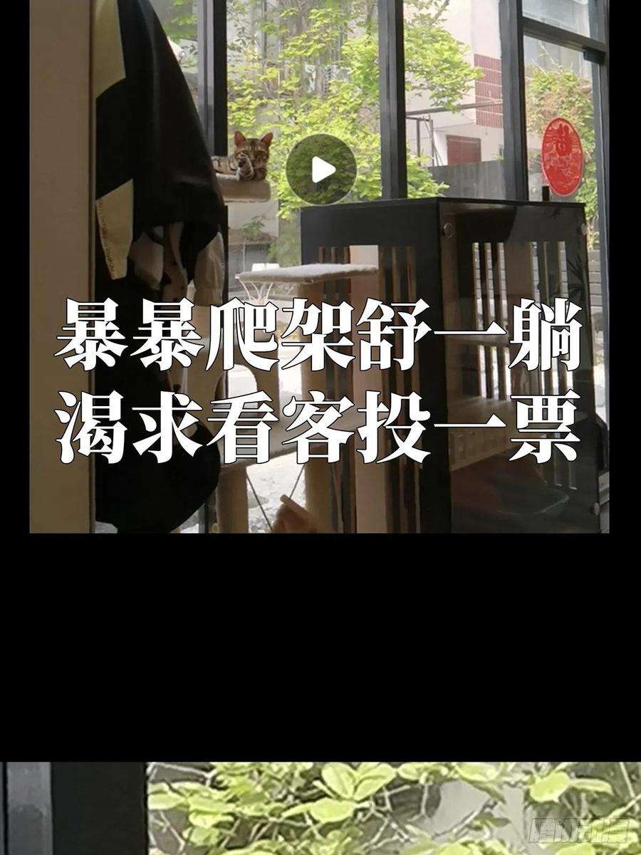 大象无形二百一十二话是敌是友上
