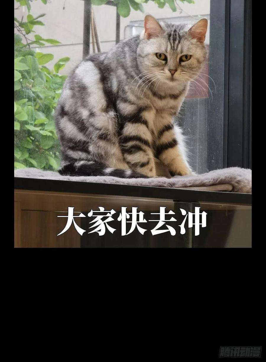 大象无形二百一十四话是敌是友下