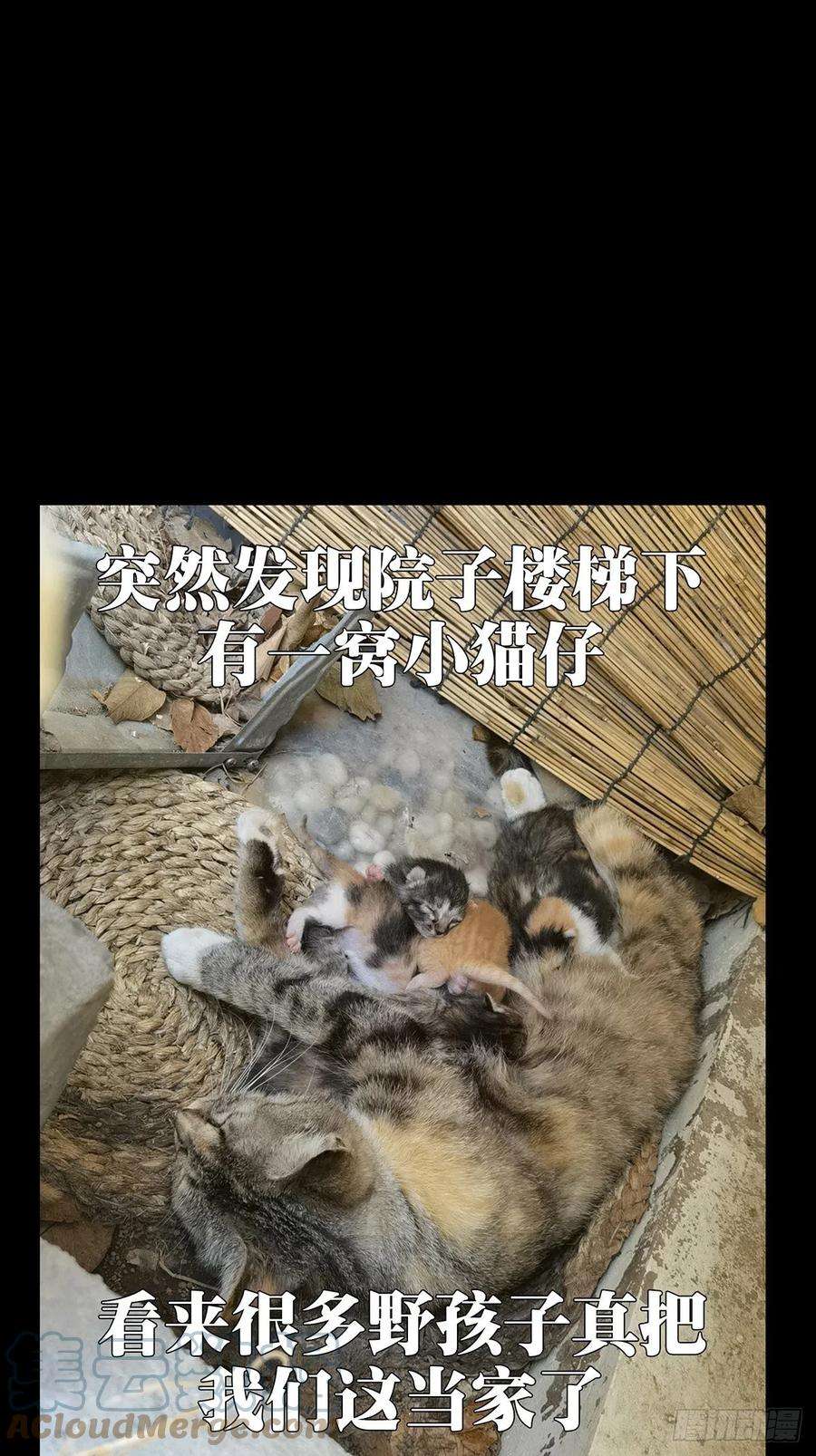 大象无形二百一十六话新师父中