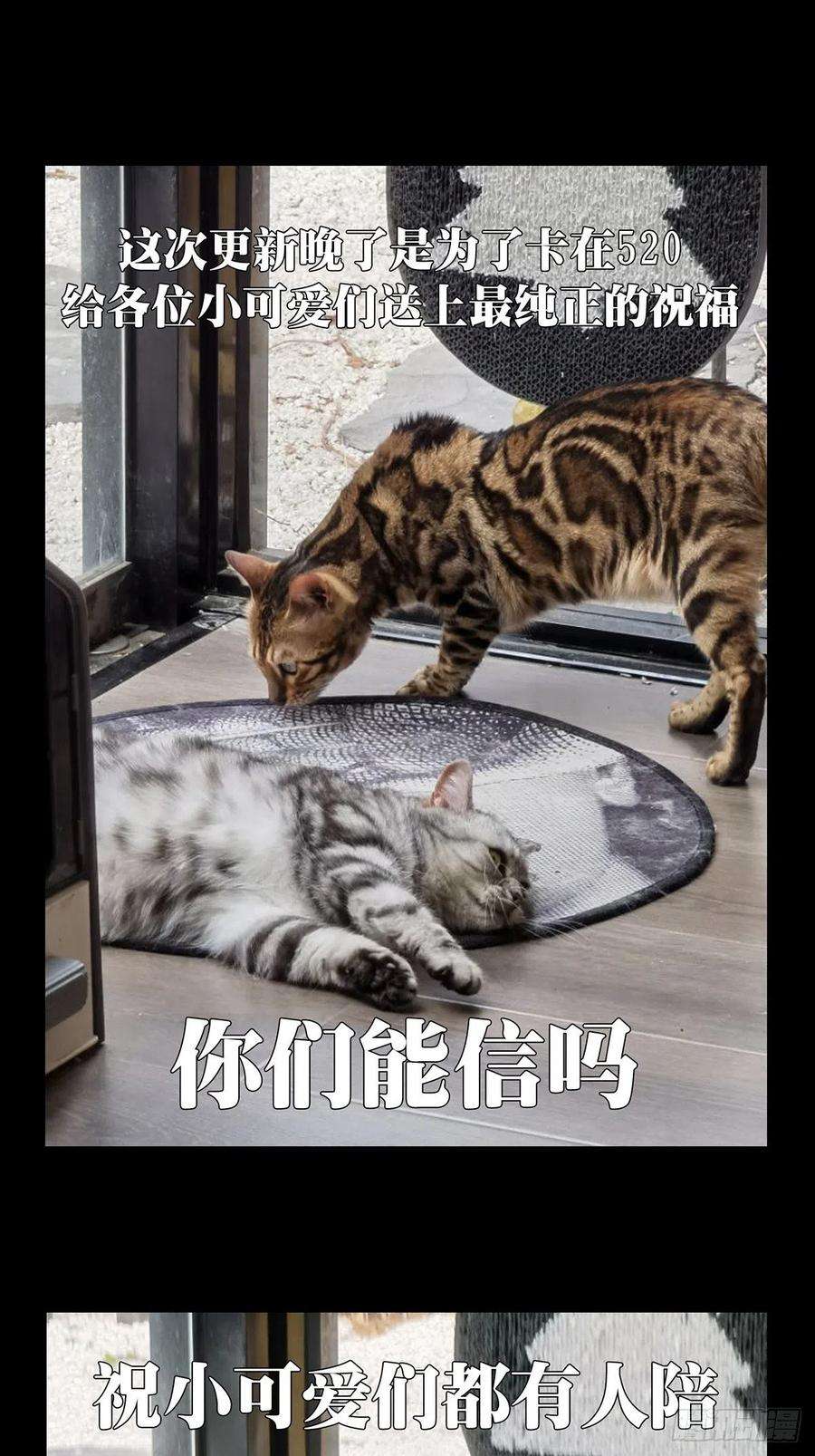 大象无形二百二十话鲜于修下