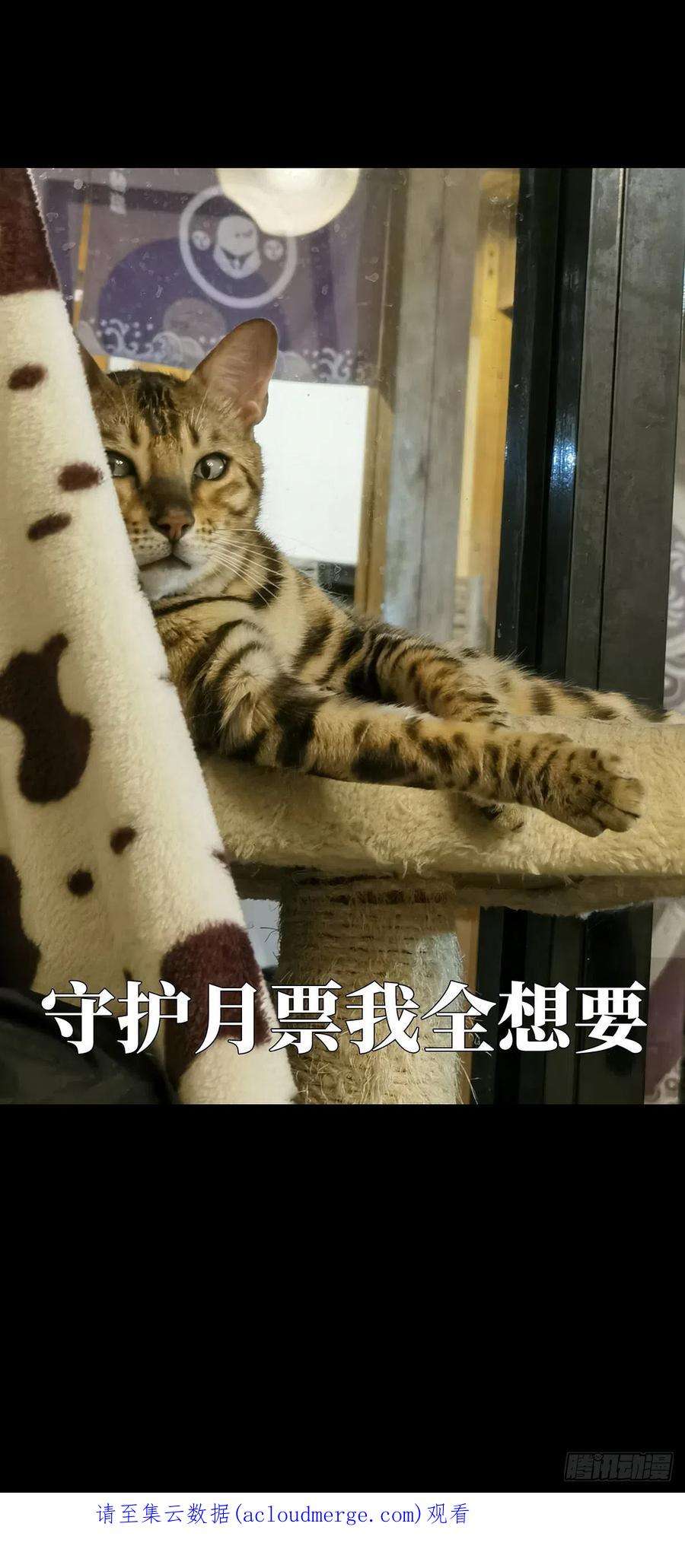 大象无形二百二十四话夺魁赛开始中