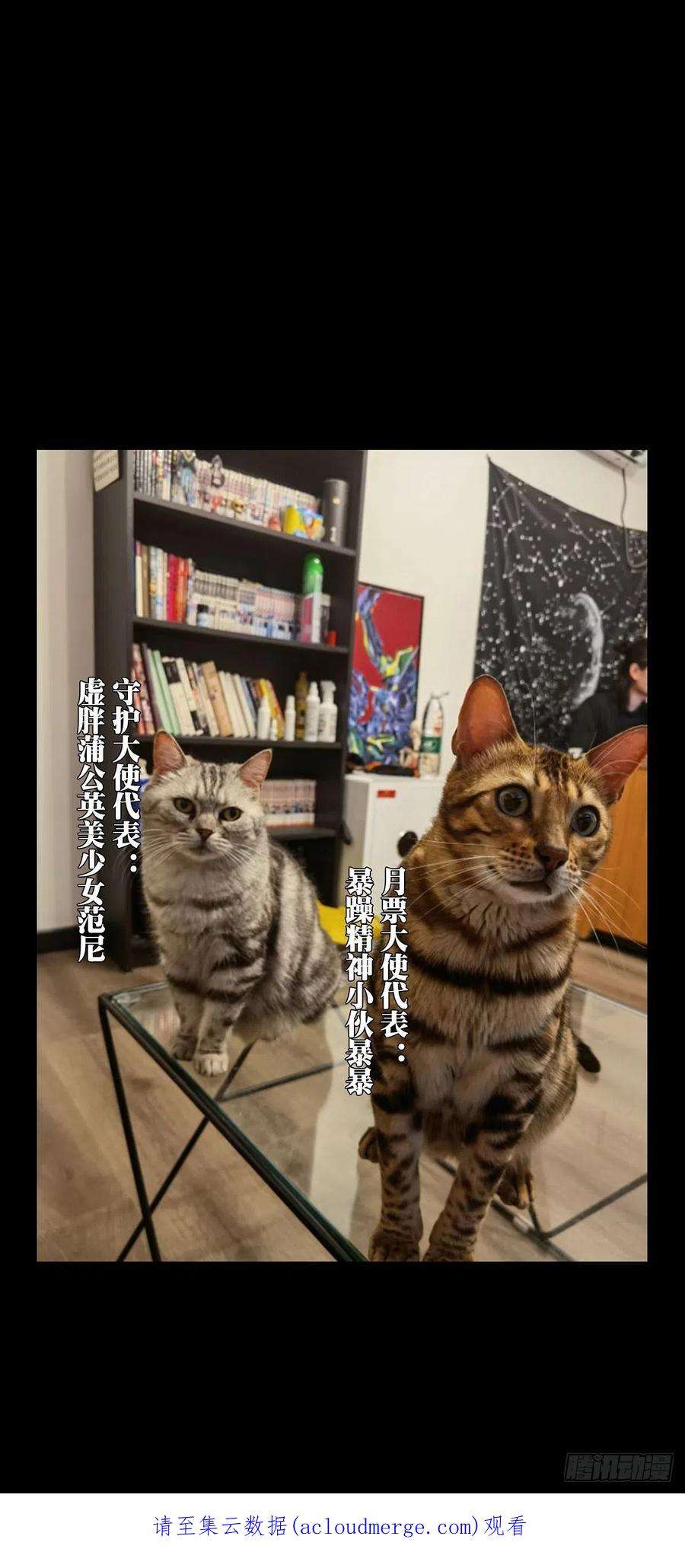 大象无形二百二十五话夺魁赛开始下