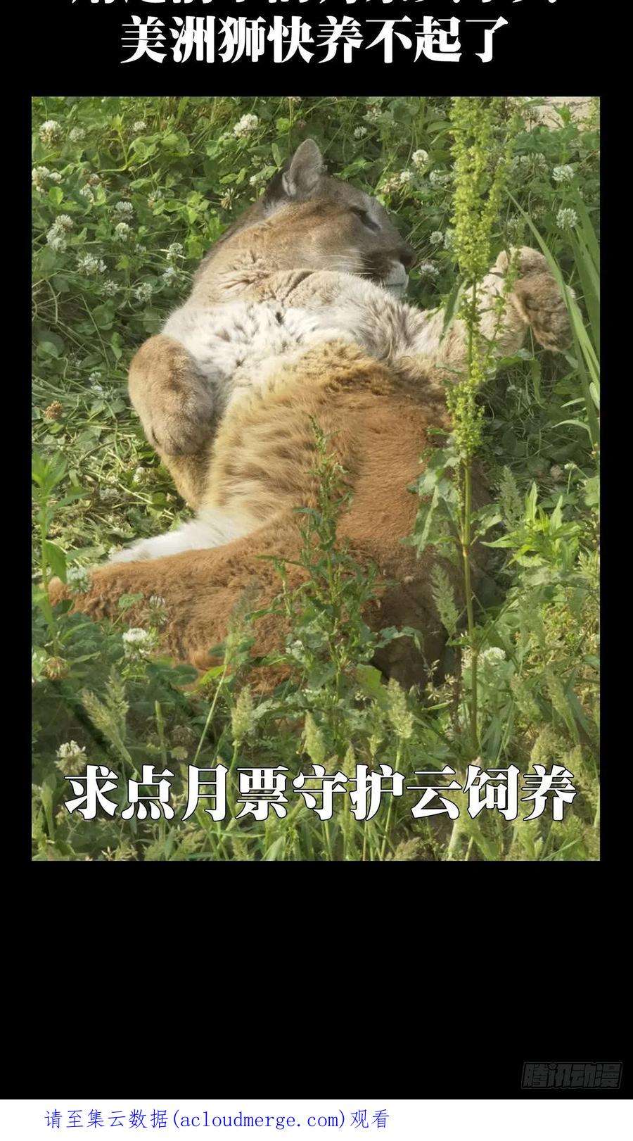 大象无形二百二十六话抢房子上