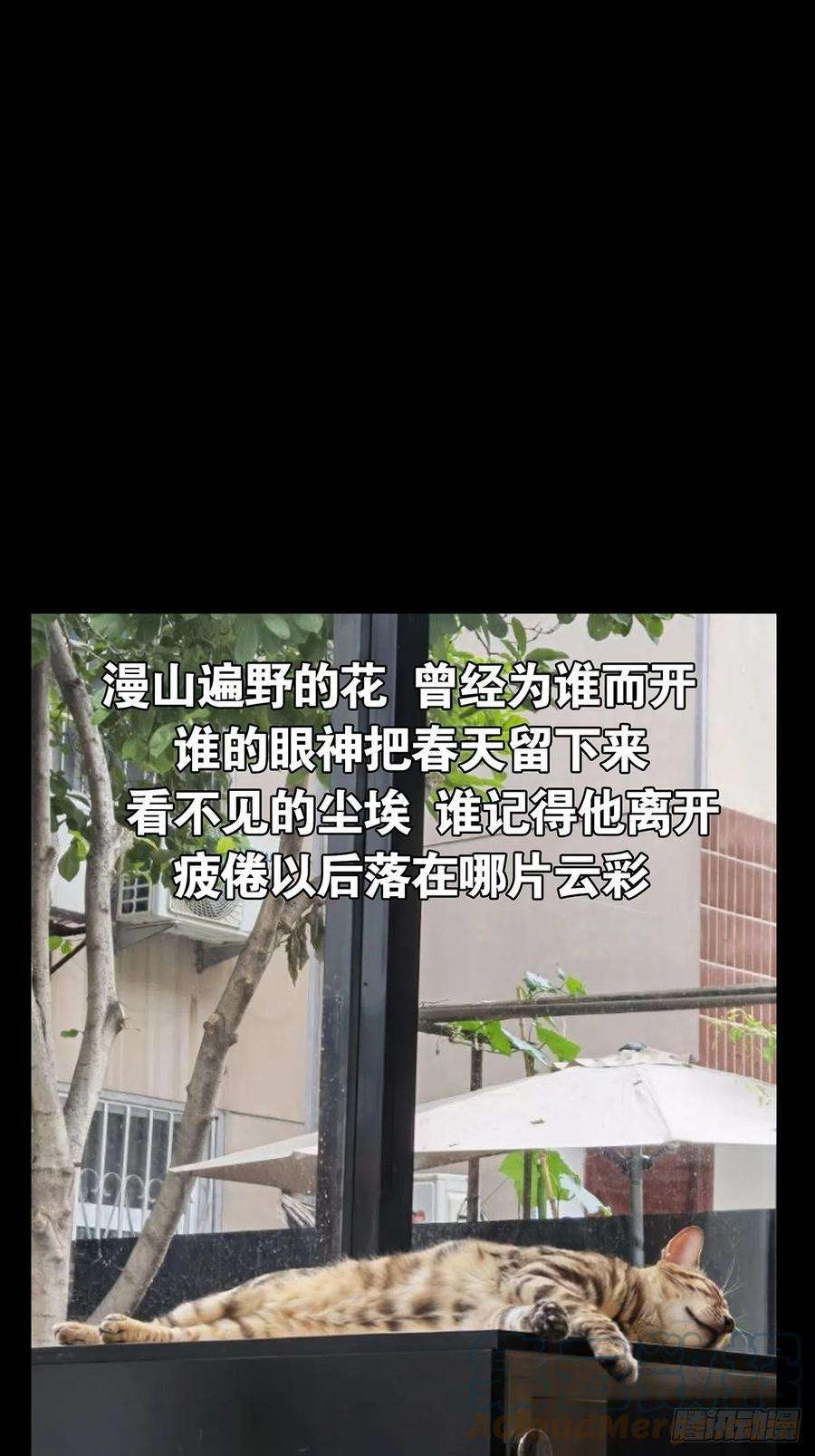 大象无形二百二十九话第二场上