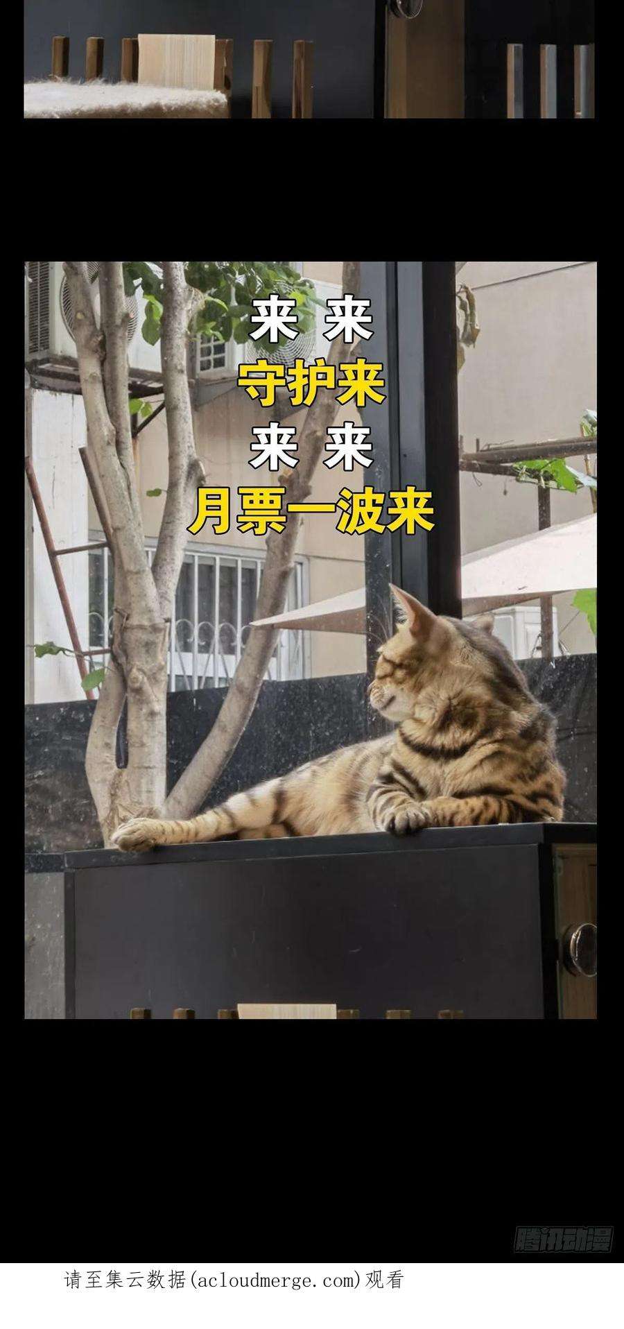大象无形二百二十九话第二场上