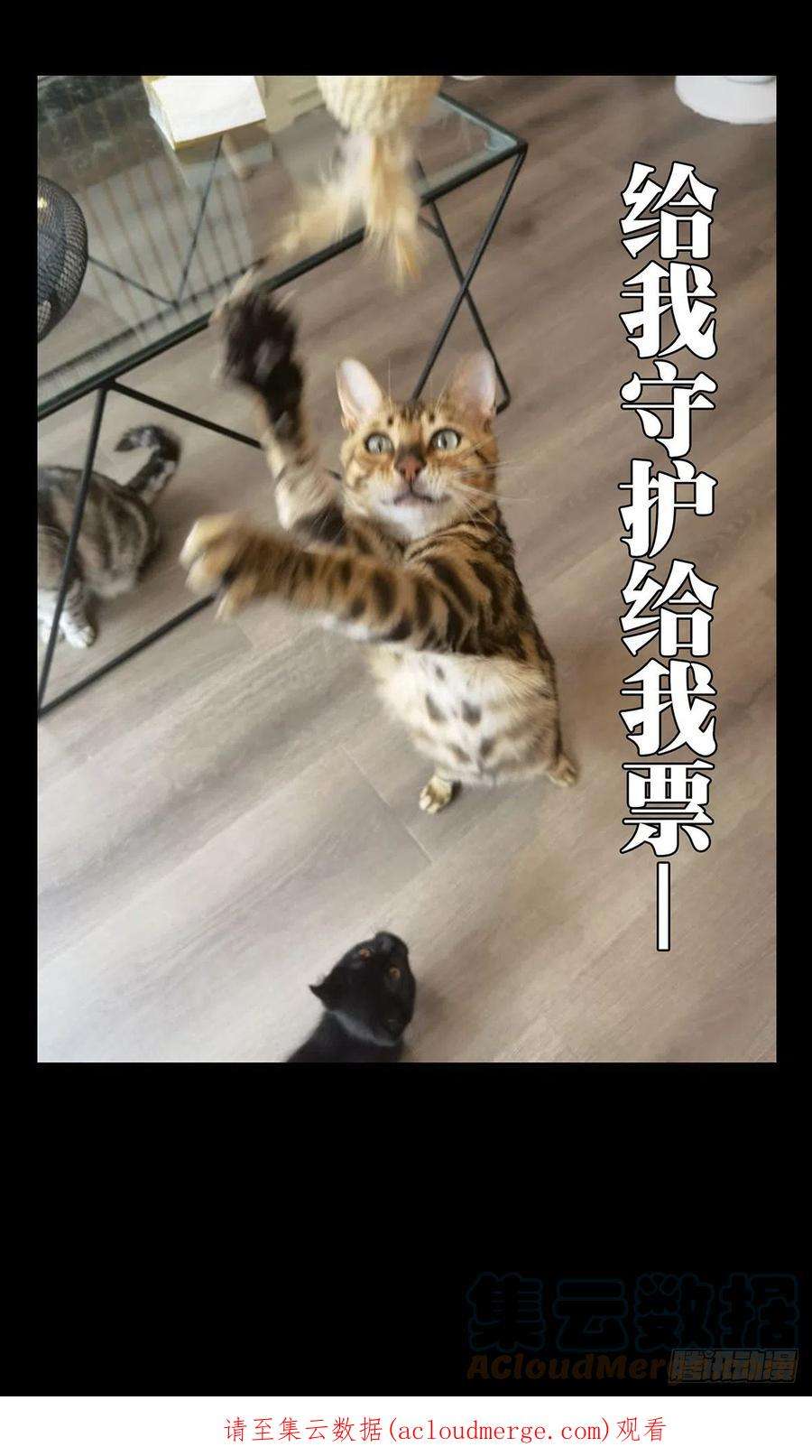 大象无形二百三十二话小巫主上