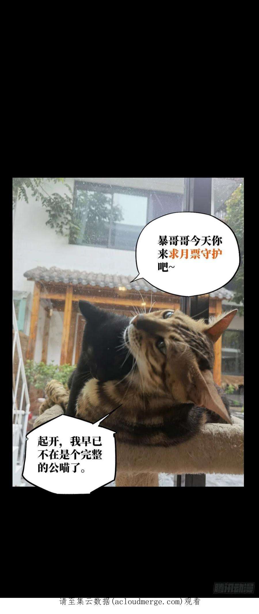 大象无形二百三十四话小巫主下
